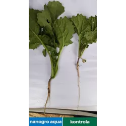 Agrarius 250ml Nanogro Aqua Stymulator wzrostu Uodparnia Zdrowe rośliny