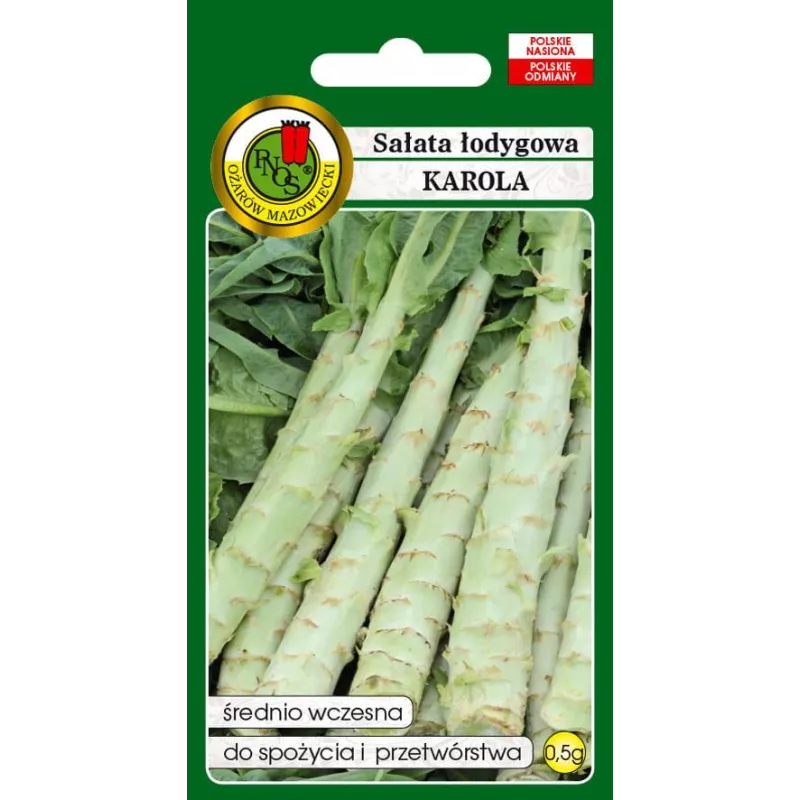 PNOS 0,5g Sałata łodygowa Karola Nasiona warzyw Średniowczesna Sałatki Kiszenie