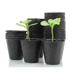 Chomik 100szt. Doniczki rozsadowe 9 cm 9454 Siewki Produkcyjne Pikowanie