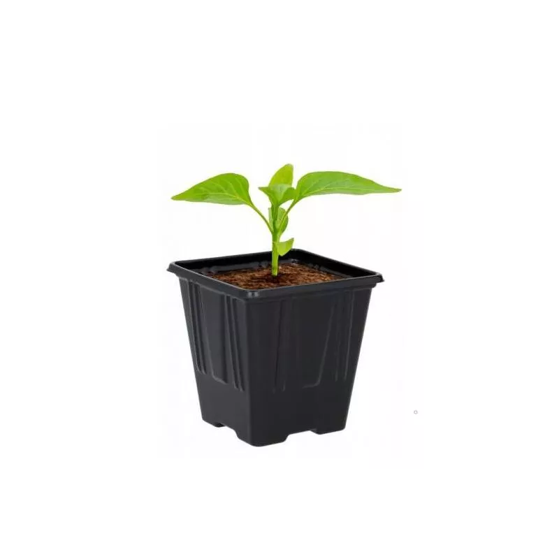 Chomik 12szt. Doniczki rozsadowe 7 cm 3289 Wysiew Produkcja sadzonek Pikowanie