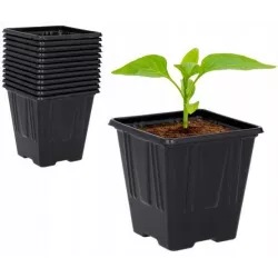Chomik 12szt. Doniczki rozsadowe 7 cm 3289 Wysiew Produkcja sadzonek Pikowanie