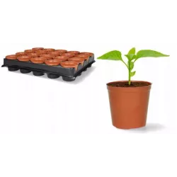 Chomik 20szt. Doniczki rozsadowe 6 cm + taca 3090 Wielodoniczka Wysiew Pikowanie