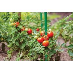 BRADAS 1 szt. Tyczka stalowa powlekana 0,8x80cm Podpora Ogórki Pomidory