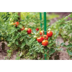 Bradas 1szt. Tyczka stalowa powlekana 0,8x120cm Podpórka Uprawy szklarniowe