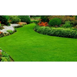 Ampol 25 kg Nawóz jesienny do trawnika trawy wzmacnia przed zimą bezazotowy