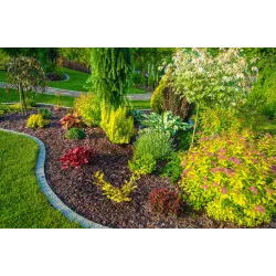 Ampol 25 kg Nawóz  jesienny granulki uniwersalny wszystkie uprawy bez azotu warzywa kwiaty owoce