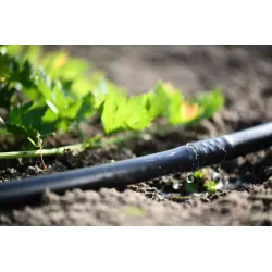 Cellfast Wąż kroplujący HYDRO 50m 19-071 Linia kroplująca Systemy nawadniania