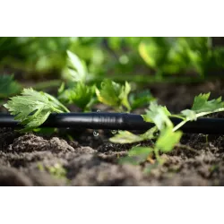 Cellfast Wąż kroplujący HYDRO 50m 19-071 Linia kroplująca Systemy nawadniania