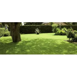 Forte 5 kg Trawnik zacieniony Nasiona trawy Tereny cieniste Gęsta darń