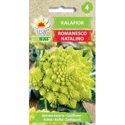 Toraf 1g Kalafior Romanesco Natalino Nasiona warzyw Odmiana średnio-wczesna Zielony Pyszny