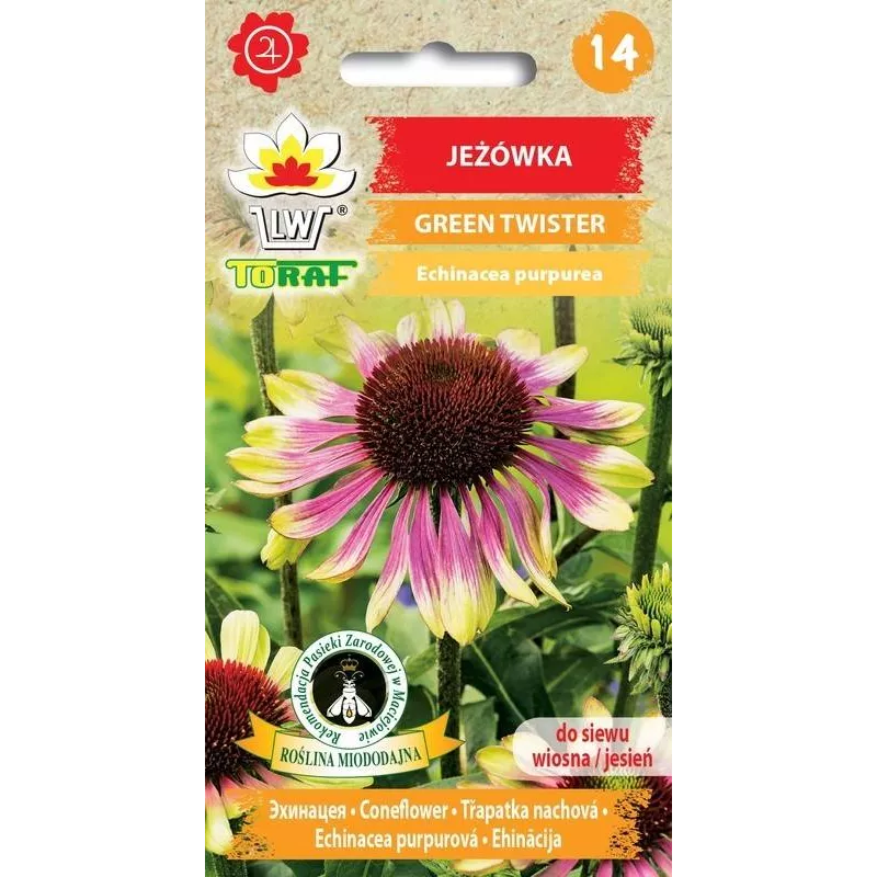 Toraf 0,3g Jeżówka Green Twister Nasiona Przyciąga motyle Wieloletnia Miododajna