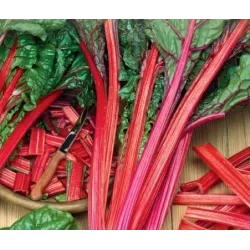 Toraf 5g Burak Liściowy czerwony Rhubarb Chard Nasiona warzyw