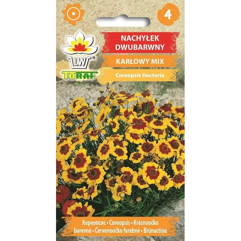 Toraf 1g Nachyłek Dwubarwny Karłowy Nasiona kwiatów Roślina jednoroczna Łatwa uprawa Rabaty Kwietniki