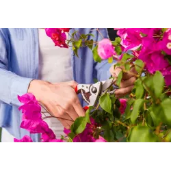 Felco 14 Sekator nożycowy Ogrodniczy Mały Cięcie kwiatów