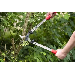 Felco 201-50 Nożyce do cięcia gałęzi Niezawodne Sekator