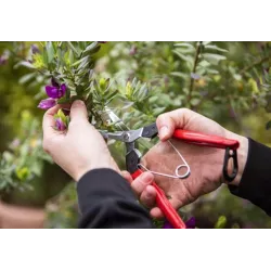 Felco 322 Sekator jednoręczny Nożyczki Do roślin kwiatów