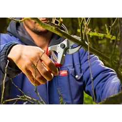 Felco 31 Sekator kowadełkowy Ogrodowy Tnie suche gałęzie Mocny