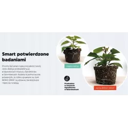 Wokas Smart 20L Ziemia do Cytrusów Roślin śródziemnomorskich Cytryn Opuncji Oleandrów figi Nawóz długodziałający