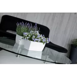 Prosperplast Doniczka Coubi 24cm Kremowa Na kaktusy Podłużna