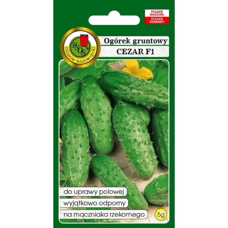PNOS 5g Ogórek Cezar Nasiona warzyw Gruntowy Wyjątkowo Odporny