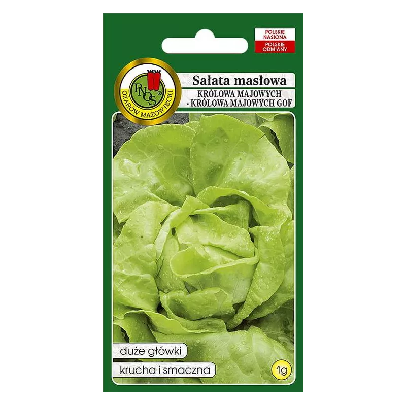 PNOS 1g Sałata Masłowa Królowa Majowych GOF Nasiona Warzyw