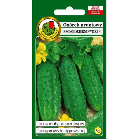 PNOS 5g Ogórek Kronos Skierniewicki F1 Nasiona warzyw Gruntowy