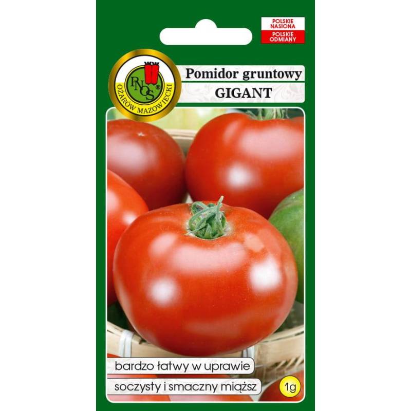 PNOS 1g Pomidor Gigant Gruntowy Duży Łatwy w uprawie Smaczny