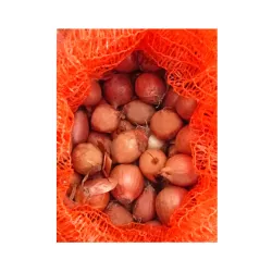 Cebula Szczypiorówka 1kg Na szczypiorek Szczypior