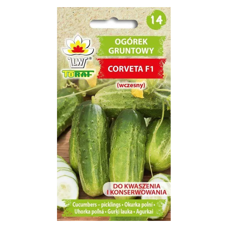 Toraf 3g Ogórek Corveta F1 Nasiona warzyw Gruntowy Bardzo Plenny