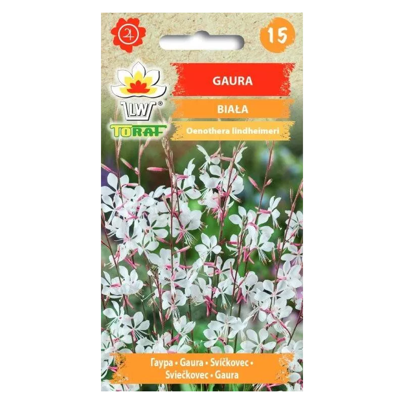Toraf 0,5g Gaura Biała Nasiona Wieloletnia Bylina Motylki