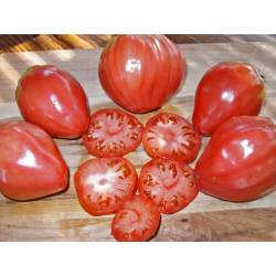 BIOPON 0,2g Pomidor Bawole Serce Nasiona warzyw Prawdziwy smak pomidora Duże owoce