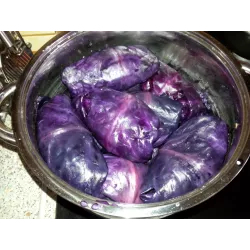 BIOPON 1G KAPUSTA GŁOWIASTA CZERWONA TOPAS NASIONA