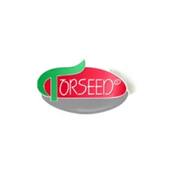 Torseed 0,2g Pomidor Malinowy Rodeo Nasiona Duży Owoc Mięsisty