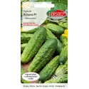 Torseed 20 szt. Ogórek Octopus F1 Nasiona Gruntowy Odporny
