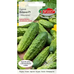 Torseed 20 szt. Ogórek Octopus F1 Nasiona Gruntowy Odporny