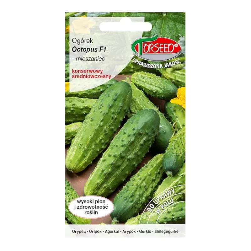 Torseed 20 szt. Ogórek Octopus F1 Nasiona Gruntowy Odporny