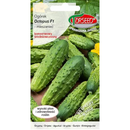 Torseed 20 szt. Ogórek Octopus F1 Nasiona Gruntowy Odporny