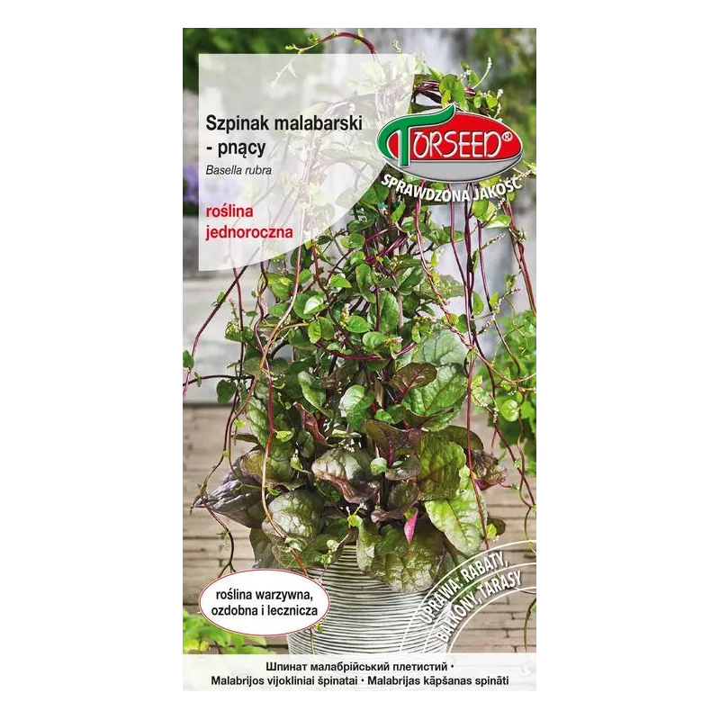 Torseed 10szt. Szpinak Malabarski Pnący Nasiona Jadalny Pnącze
