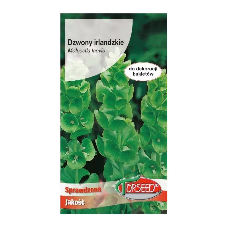 Torseed 1g Dzwony Irlandzkie Nasiona Kwiatów do Wazonów Bukietów