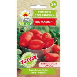 Toraf 20szt Pomidor szklarniowy BIG MAMA F1 mieszaniec