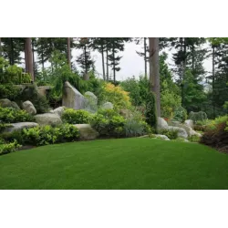 Rolimpex 2kg Mieszanka Trawnikowa Nasiona z Iławy Idealna do Obiektów Rekreacyjnych