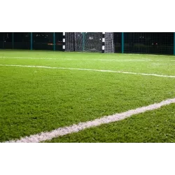 Rolimpex 9,5kg Trawa Boiskowa Nasiona z Iławy Bolero Idealna na Obiekty Sportowe