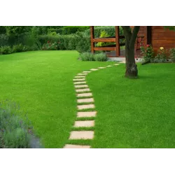 Rolimpex 5kg Trawa Gazon Dekoracyjny Nasiona z Iławy Idealny na Elegancki Trawnik Reprezentacyjny