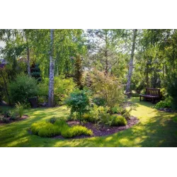 Rolimpex 5kg Trawnik Uniwersalny Nasiona z Iławy Wsiewka Trawy Ogród Przydomowy