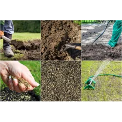 Rolimpex 0,9kg Trawa Uniwersalna Zagęszczająca Biatom Nasiona Iława Wsiewka Gęsta Darń Szerokie Zastosowanie