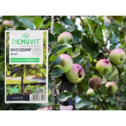 Ziemovit 15g Miedzian 50 WP Oprysk Środek Grzybobójczy Bakteriobójczy