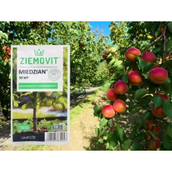 Ziemovit 15g Miedzian 50 WP Oprysk Środek Grzybobójczy Bakteriobójczy