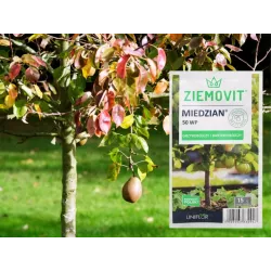 Ziemovit 15g Miedzian 50 WP Oprysk Środek Grzybobójczy Bakteriobójczy