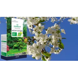 Ziemovit 10 ml NeemAzal T/S Środek owadobójczy ECO Rośliny ozdobne Zwalcza ziemiórki mszyce