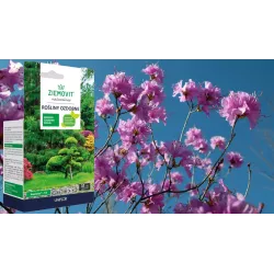 Ziemovit 10 ml NeemAzal T/S Środek owadobójczy ECO Rośliny ozdobne Zwalcza ziemiórki mszyce